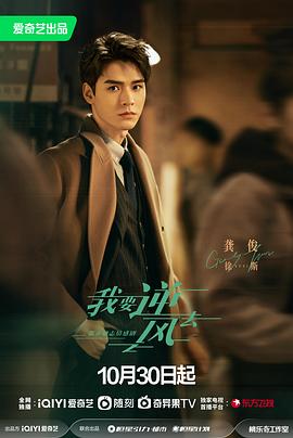 菜鸟网站怎么优化